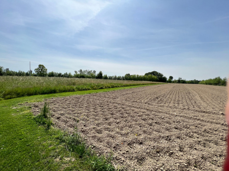 (Per INFO Cristina 3389226442) A Galta proponiamo in vendita 8.300 mq di terreno agricolo con un'...