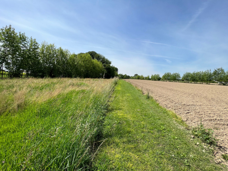 (Per INFO Cristina 3389226442) A Galta proponiamo in vendita 8.300 mq di terreno agricolo con abi...