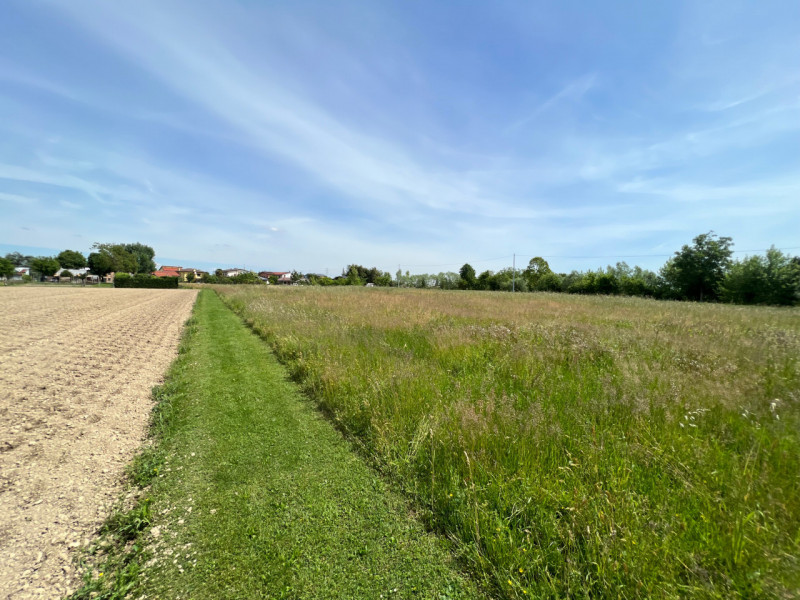 (Per INFO Cristina 3389226442) A Galta proponiamo in vendita 8.300 mq di terreno agricolo con abi...