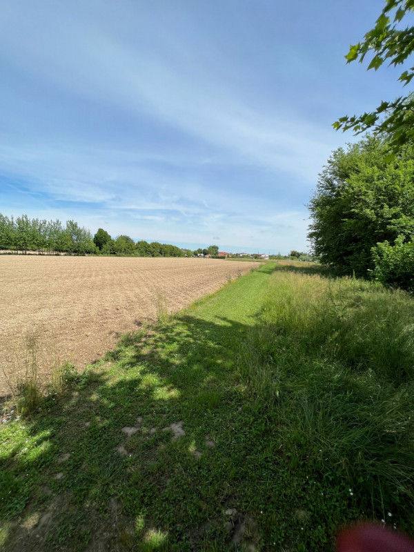(Per INFO Cristina 3389226442) A Galta proponiamo in vendita 8.300 mq di terreno agricolo con abi...