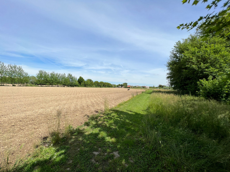 (Per INFO Cristina 3389226442) A Galta proponiamo in vendita 8.300 mq di terreno agricolo con abi...