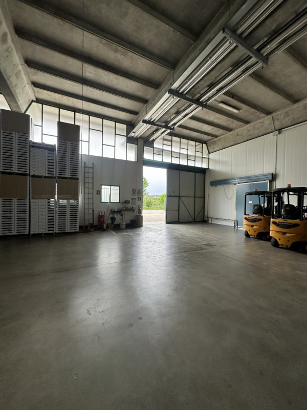 NOSTRO RIF. CP-173
Mogliano Veneto (TV) proponiamo in locazione CAPANNONE indipendente D/8 di 100...