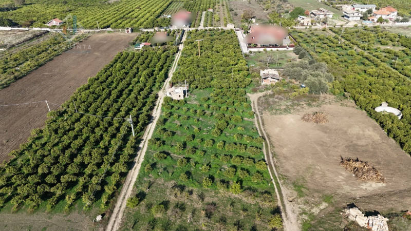 Palagonia Vendita Terreno terreno agricolo/coltura