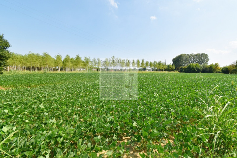 Proponiamo in vendita lotto di TERRENO AGRICOLO dalle metrature generose (ca. 30.000 metri quadri...