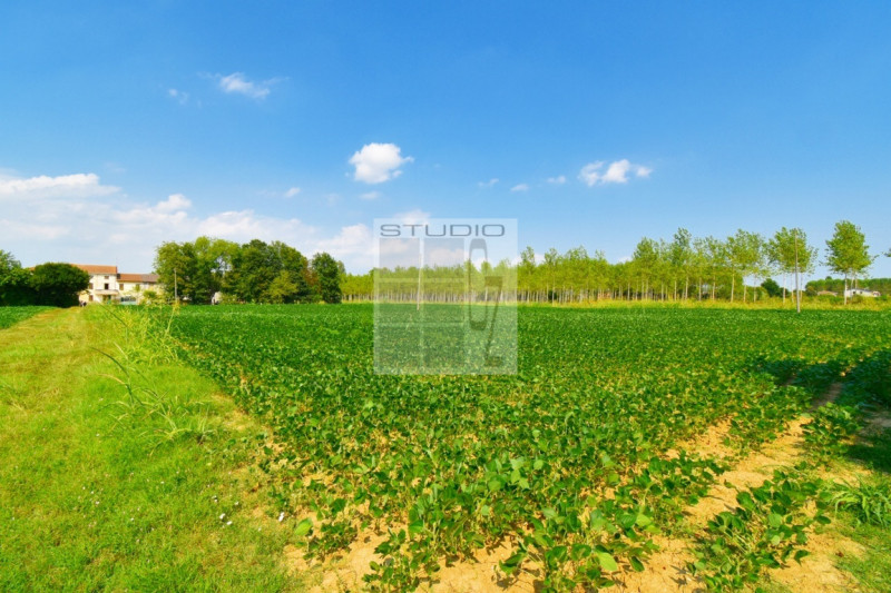 Proponiamo in vendita lotto di TERRENO AGRICOLO dalle metrature generose (ca. 30.000 metri quadri...