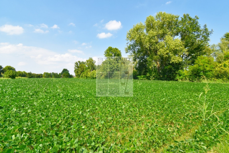 Proponiamo in vendita lotto di TERRENO AGRICOLO dalle metrature generose (ca. 30.000 metri quadri...