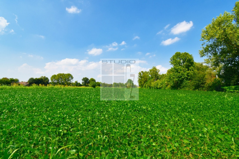 Proponiamo in vendita lotto di TERRENO AGRICOLO dalle metrature generose (ca. 30.000 metri quadri...