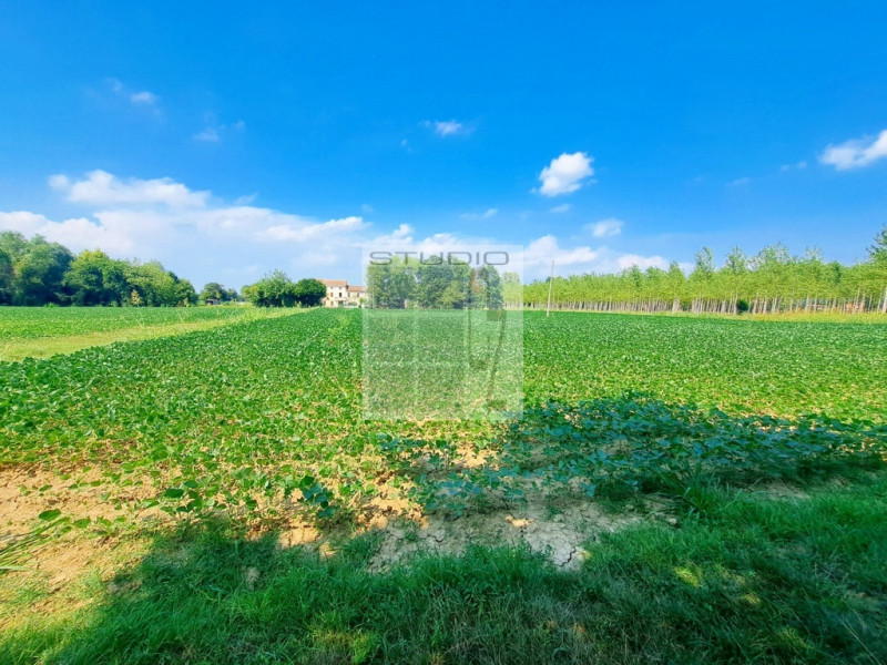 Proponiamo in vendita lotto di TERRENO AGRICOLO dalle metrature generose (ca. 30.000 metri quadri...