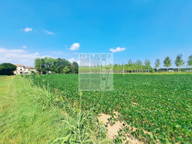 Proponiamo in vendita lotto di TERRENO AGRICOLO dalle metrature generose (ca. 30.000 metri quadri...