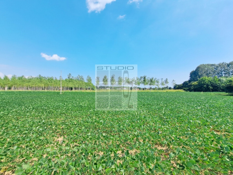 Proponiamo in vendita lotto di TERRENO AGRICOLO dalle metrature generose (ca. 30.000 metri quadri...