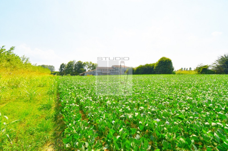 Proponiamo in vendita lotto di TERRENO AGRICOLO dalle metrature generose (ca. 30.000 metri quadri...