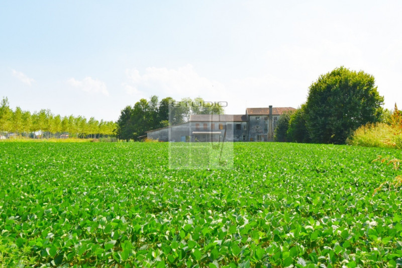 Proponiamo in vendita lotto di TERRENO AGRICOLO dalle metrature generose (ca. 30.000 metri quadri...