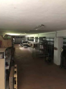 LUSIANA CONCO (VI) - VIALE CANTELE GABRIELE - Piena proprietà di complesso edilizio (opificio su ...