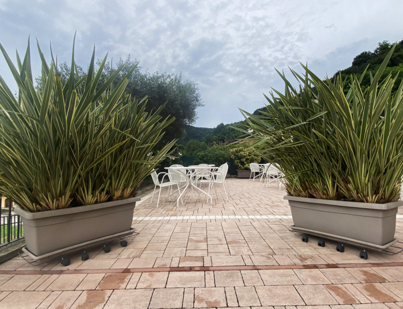 Ottima opportunità ad Arcugnano: rinomato e ben curato ristorante con grande appartamento al pian...