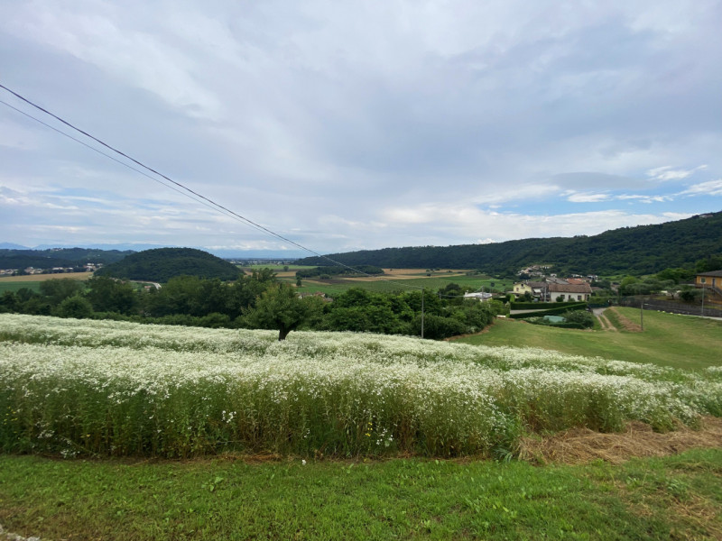 Ottima opportunità ad Arcugnano: rinomato e ben curato ristorante con grande appartamento al pian...