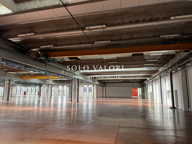 BBD-200 (per info Daniel +39 3939878704)

Proponiamo in Locazione Capannone di 16.000 mq su area ...