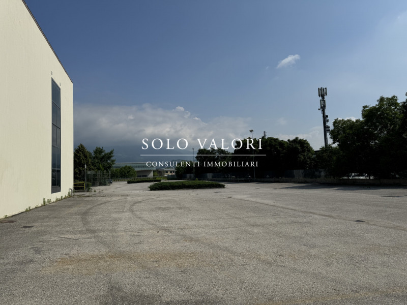 BBD-200 (per info Daniel +39 3939878704)

Proponiamo in Locazione Capannone di 16.000 mq su area ...