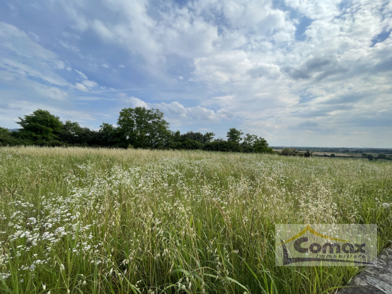 Riferimento T1278

Albettone località Lovertino, Lotto edificabile residenziale sulla sommità del...