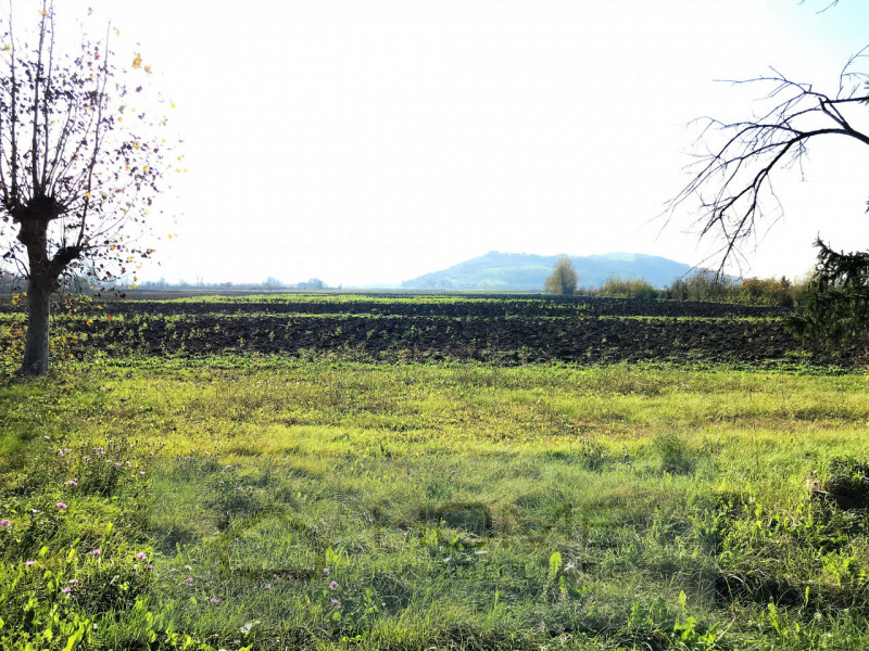 Immerso nel verde della pianura vendesi fabbricato rurale uso abitazione per mq 160 su due piani,...