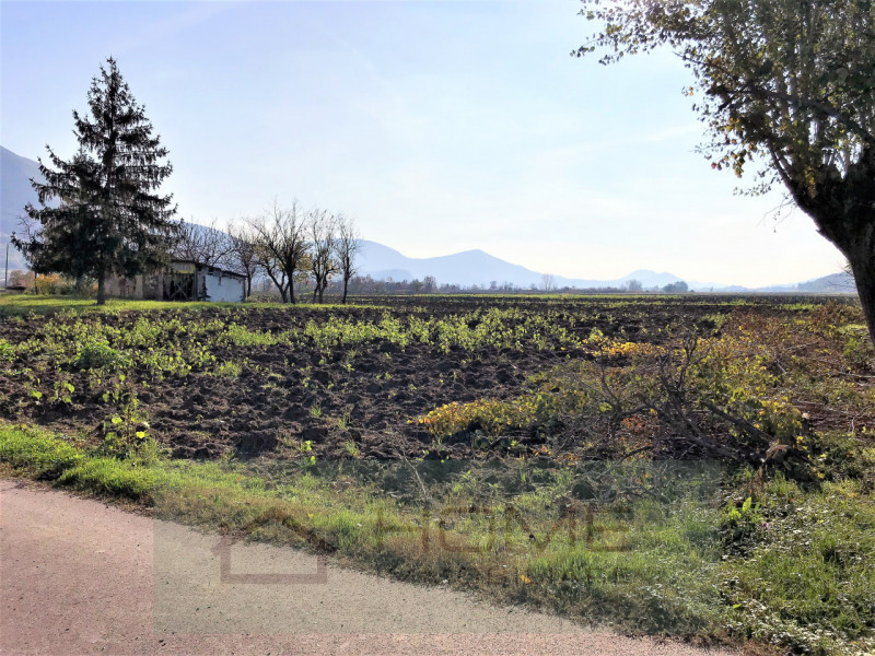 Immerso nel verde della pianura vendesi fabbricato rurale uso abitazione per mq 160 su due piani,...