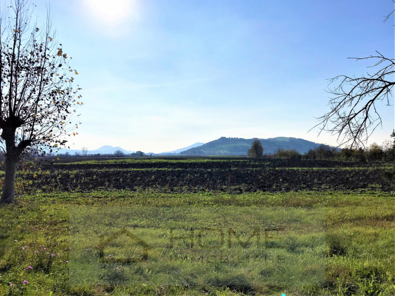 Immerso nel verde della pianura vendesi fabbricato rurale uso abitazione per mq 160 su due piani,...