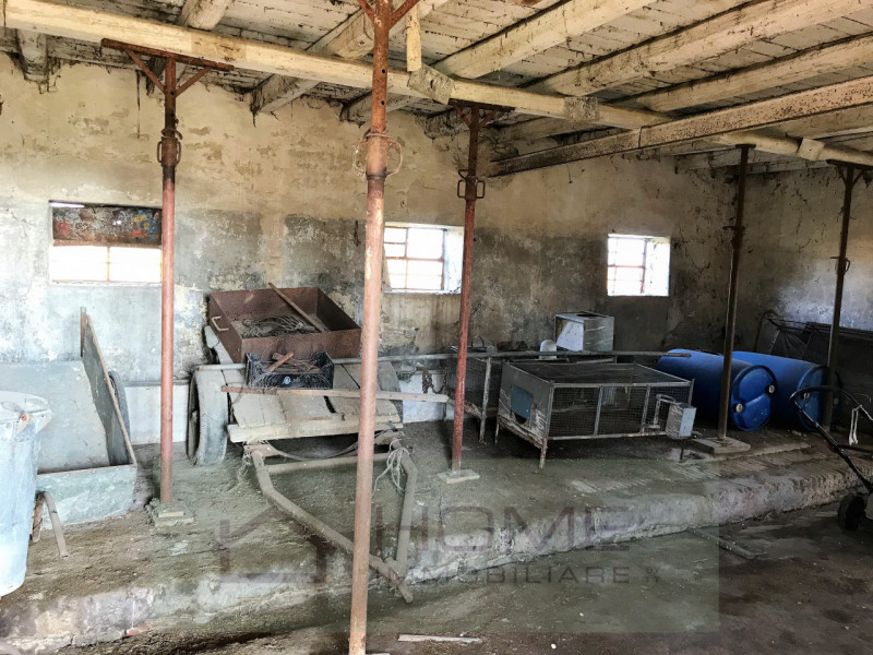 Immerso nel verde della pianura vendesi fabbricato rurale uso abitazione per mq 160 su due piani,...