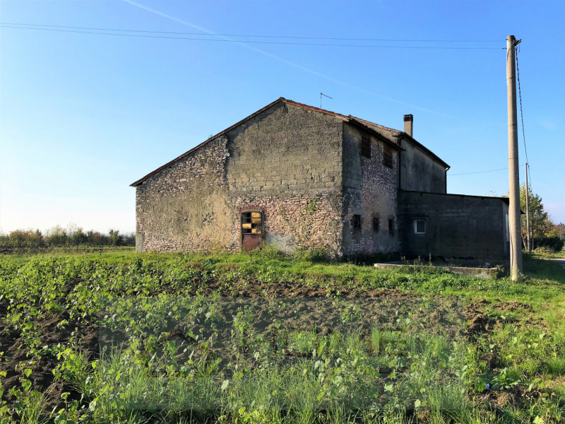 Immerso nel verde della pianura vendesi fabbricato rurale uso abitazione per mq 160 su due piani,...