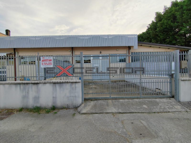 Capannoni industriali ed artigianali in vendita e affitto in Affitto a Cavarzere