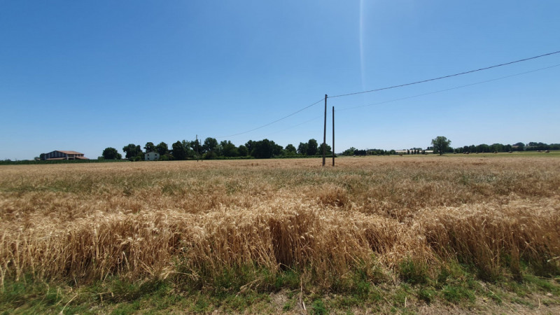 Terreni in Vendita a Concordia sulla Secchia