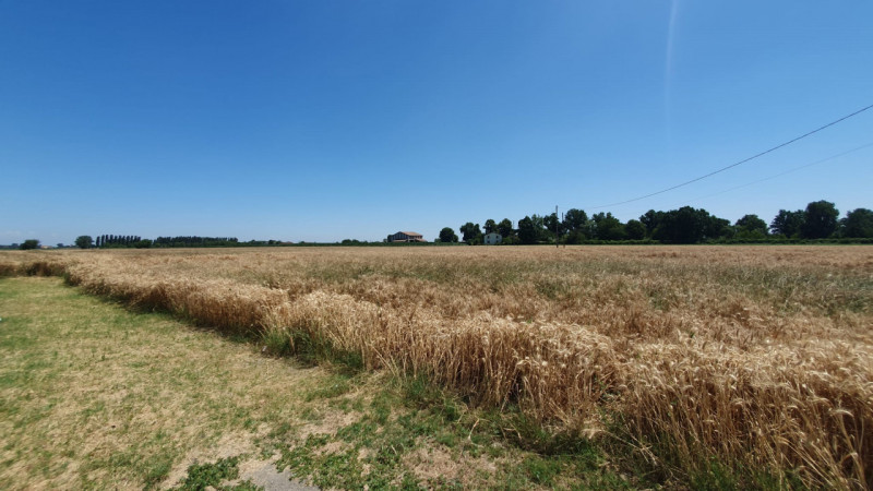 Terreni in Vendita a Concordia sulla Secchia