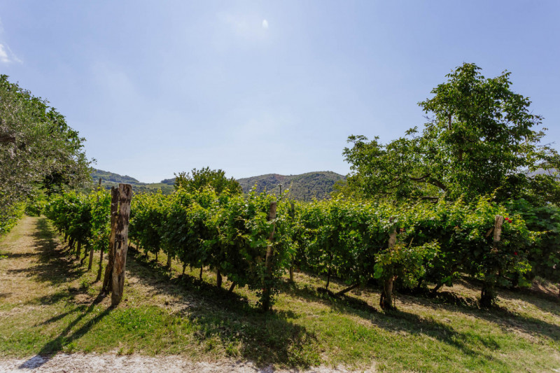 Cinto Euganeo - A Valnogaredo proponiamo immobile costituito da due abitazioni semi -indipendenti...