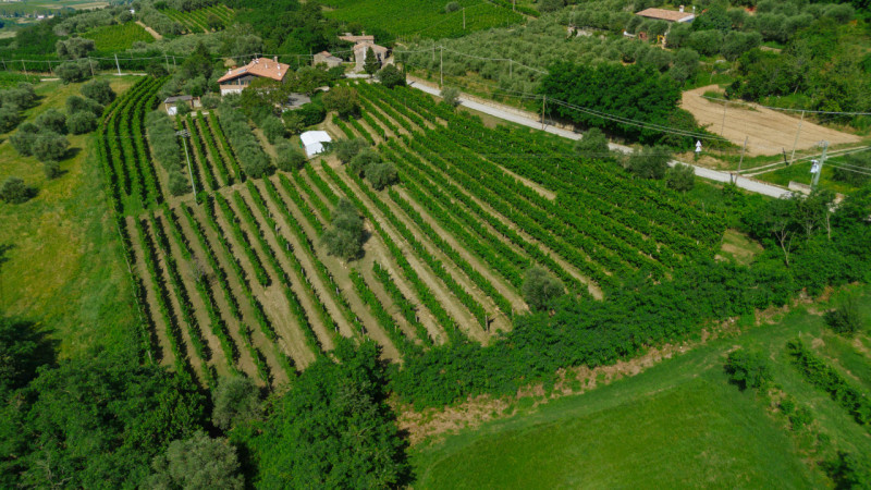 Cinto Euganeo - A Valnogaredo proponiamo immobile costituito da due abitazioni semi -indipendenti...