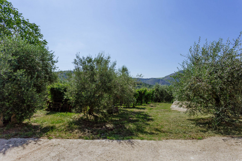 Cinto Euganeo - A Valnogaredo proponiamo immobile costituito da due abitazioni semi -indipendenti...