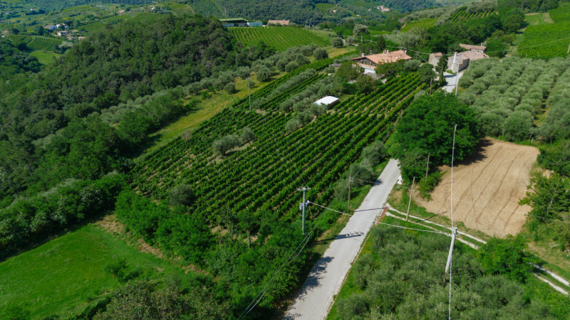 Cinto Euganeo - A Valnogaredo proponiamo immobile costituito da due abitazioni semi -indipendenti...