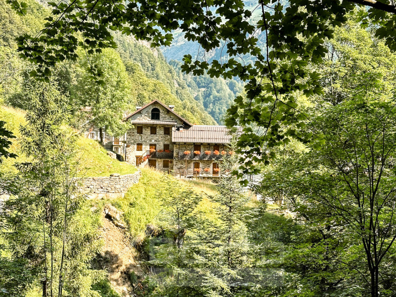 House for Sale in Fobello