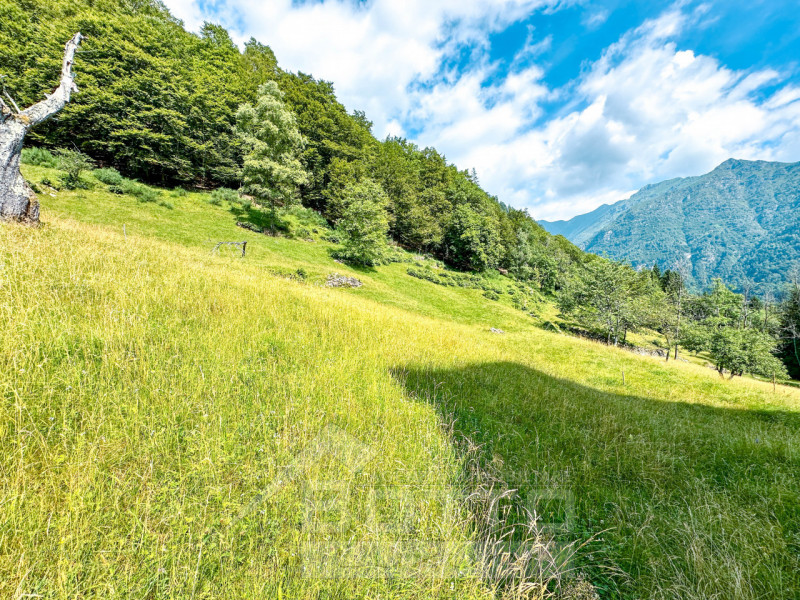 House for Sale in Fobello