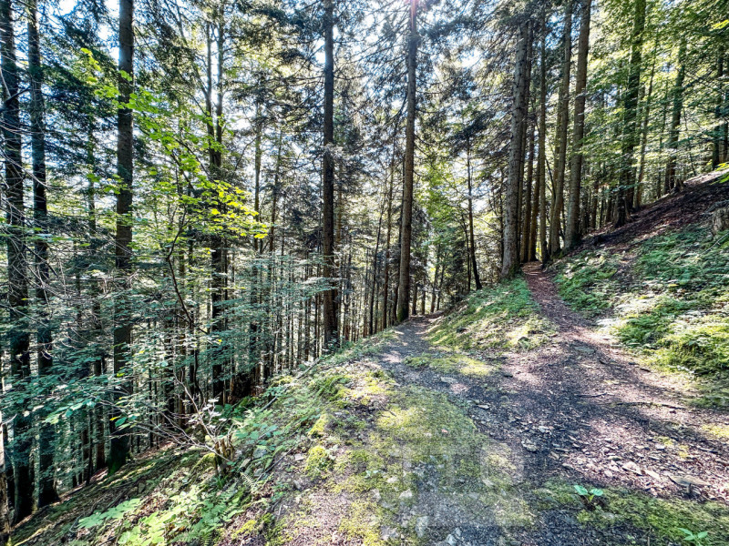 House for Sale in Fobello