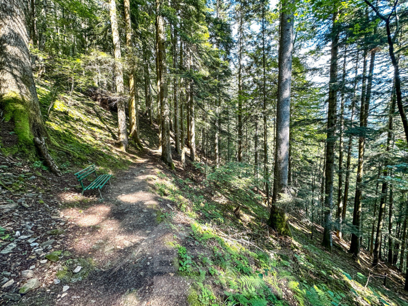 House for Sale in Fobello