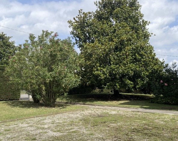 (Per INFO 3316190143) A Piombino Dese, in frazione Torreselle, proponiamo in vendita abitazione d...