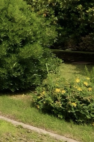 (Per INFO 3316190143) A Piombino Dese, in frazione Torreselle, proponiamo in vendita abitazione d...