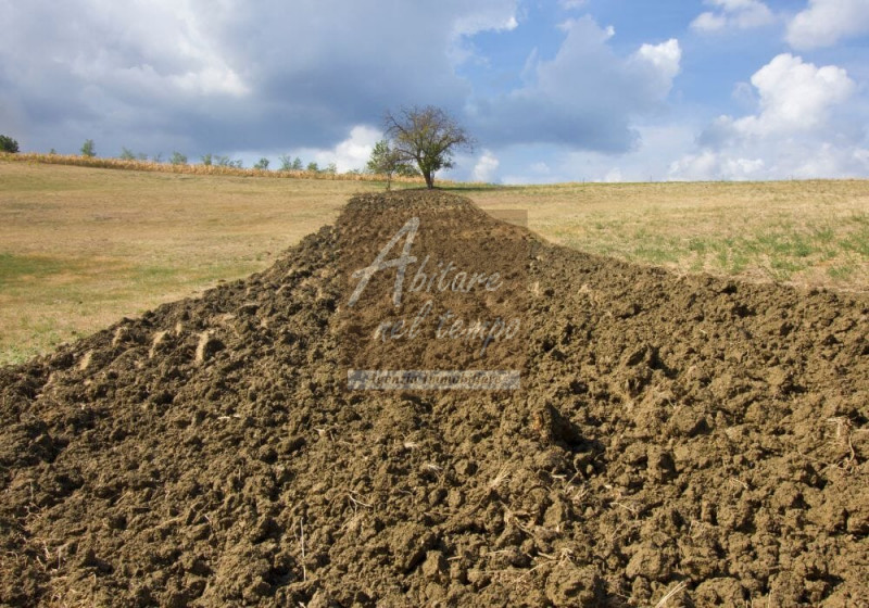 SAN GIORGIO IN BOSCO (PD)

Proponiamo in vendita un lotto di 10.981mq composto da 1.932 mq edific...