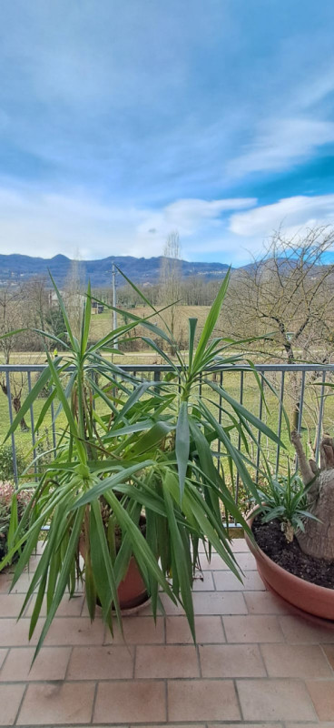 Scopri il tuo nuovo rifugio nel cuore di San Vito di Leguzzano! Ben illuminato e tutto su un pian...