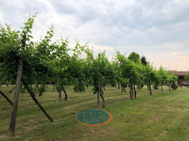 MONTEGALDA (VI) se sogni una vita a ritmo lento, circondato dal verde ma senza rinunciare alle co...