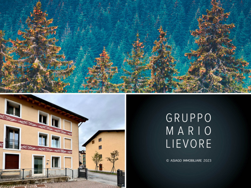 Asiago Immobiliare propone in esclusiva una splendida soluzione di AFFITTO PER L'INTERA STAGIONE ...