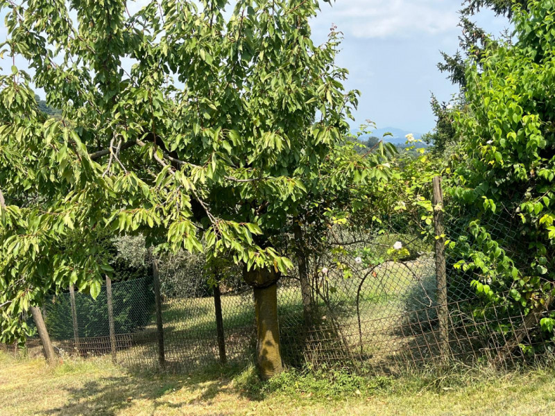 Siamo lieti di proporvi in vendita un terreno edificabile residenziale situato nella zona di Pera...