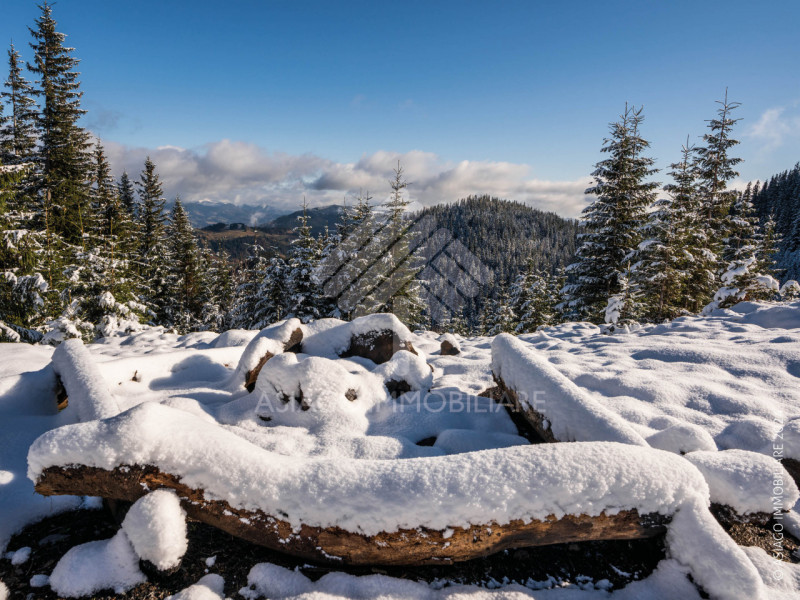 AFFITTO ESCLUSIVO AD USO TURISTICO dal 08 dicembre al 6 gennaio '25 - Se cercate la "cornice" ide...