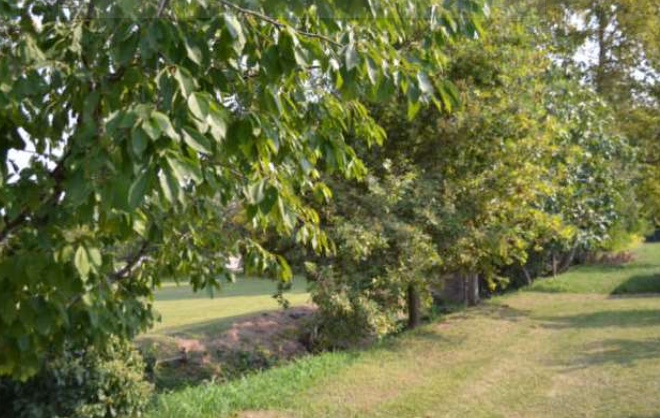 SARCEDO (VI) VIA CALCARA - Piena proprietà per la quota di 1/1 su terreni agricoli (Mappali 154 e...