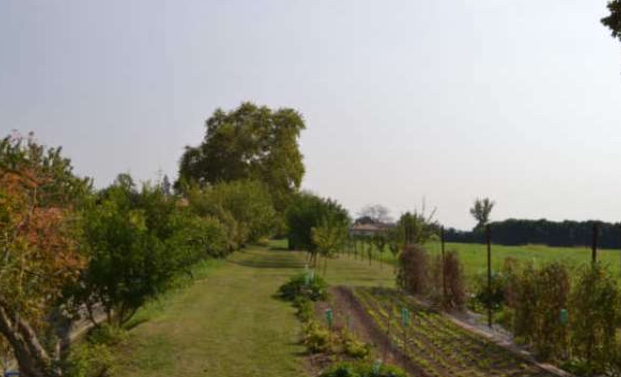 SARCEDO (VI) VIA CALCARA - Piena proprietà per la quota di 1/1 su terreni agricoli (Mappali 154 e...