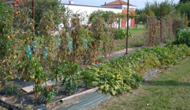 SARCEDO (VI) VIA CALCARA - Piena proprietà per la quota di 1/1 su terreni agricoli (Mappali 154 e...