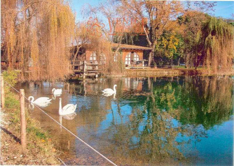 Scopri un angolo di paradiso immerso nella natura: una tenuta oasi faunistica situata nel comune ...